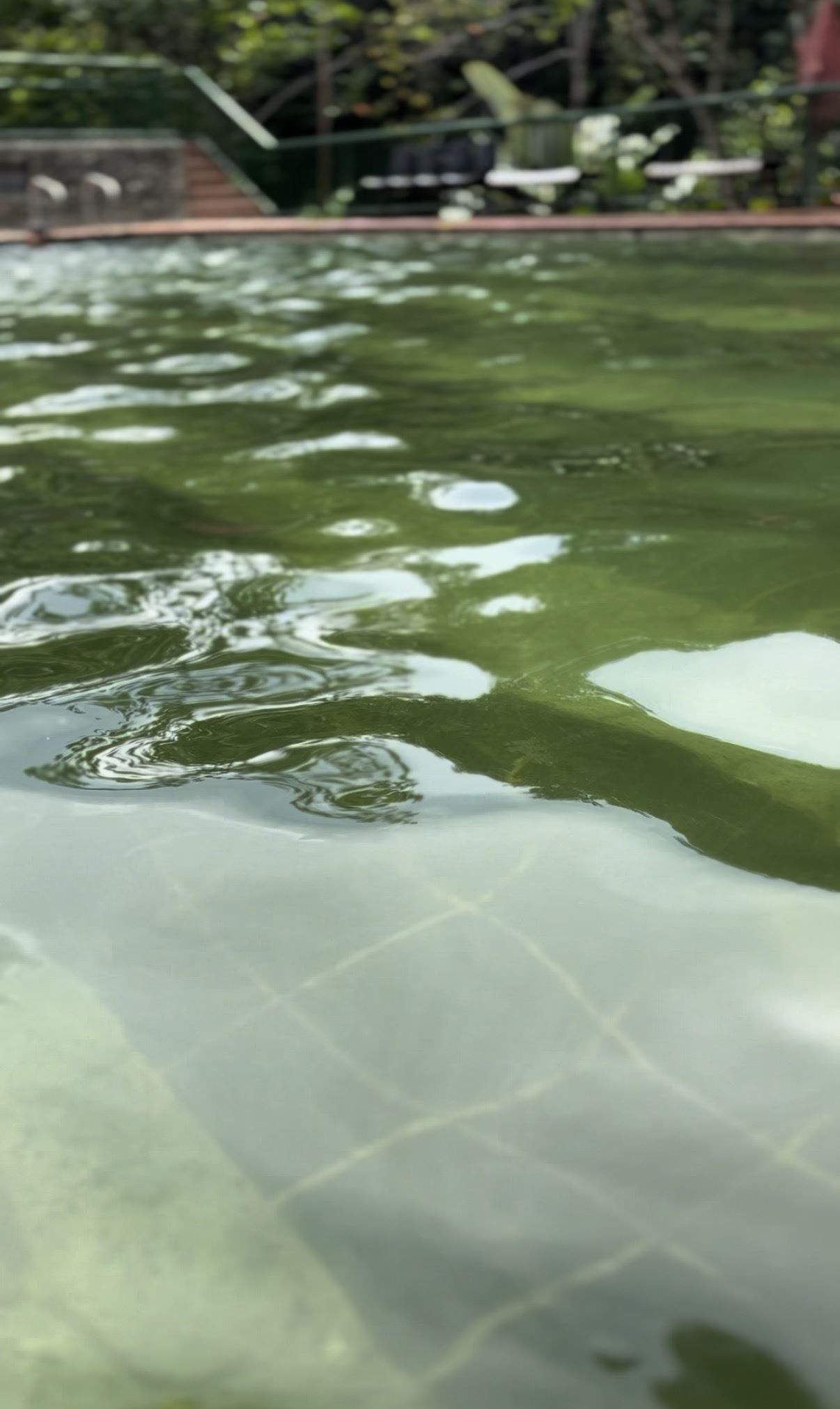 Piscinas de agua natural vs agua con cloro — diferencias y beneficios